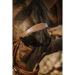 Bridon Work - Eric Thomas