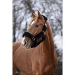 Licol Teddy rose gold - Equithème