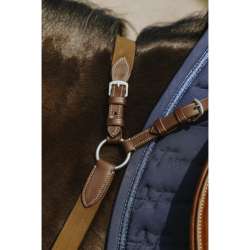 Collier de chasse 5 points - Norton