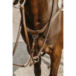Collier de chasse 5 points - Norton