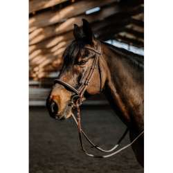 Bridon Hunter Comfy - Norton