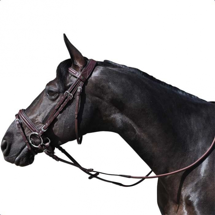 Bridon Flags & Cup Hickstead muserolle pull-back 