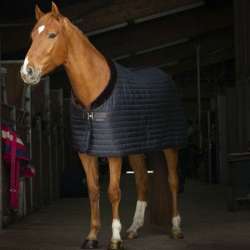 Couverture d'écurie Teddy - Equithème