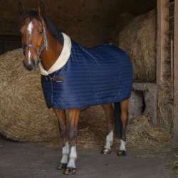 Couverture d'écurie Teddy - Equithème