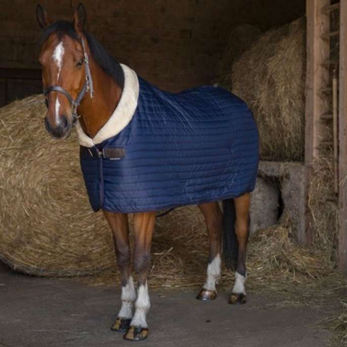 Couverture d'écurie Teddy - Equithème