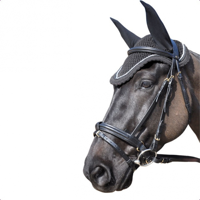 Bonnet Privilège Equitation Palm Beach - cheval 
